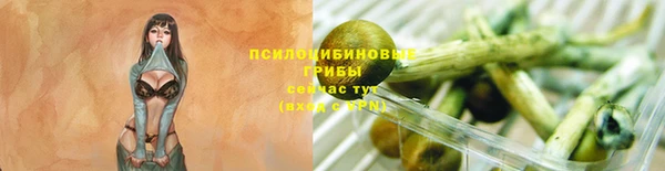 скорость Гусиноозёрск