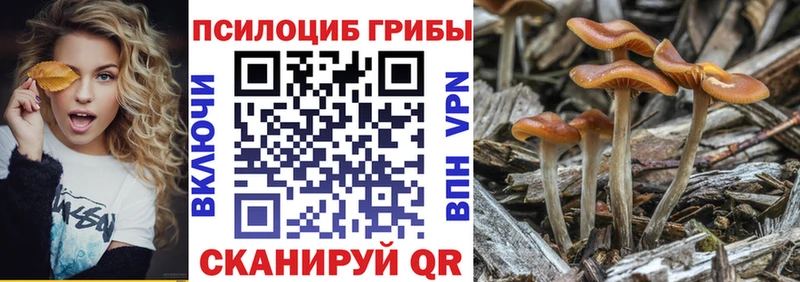 Галлюциногенные грибы мухоморы Кызыл