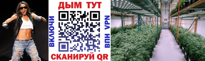 что такое   Кызыл  Бошки Шишки Ganja 